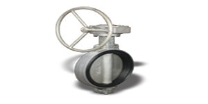Neway concentric butterfly valves 